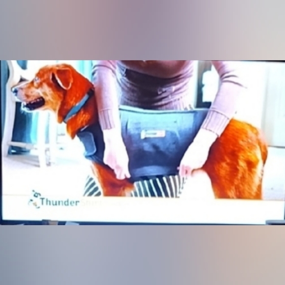Thundershirt Charcoal Gray Polyester Blend Dog Calming Vest Size XXS - Picture 1 of 7